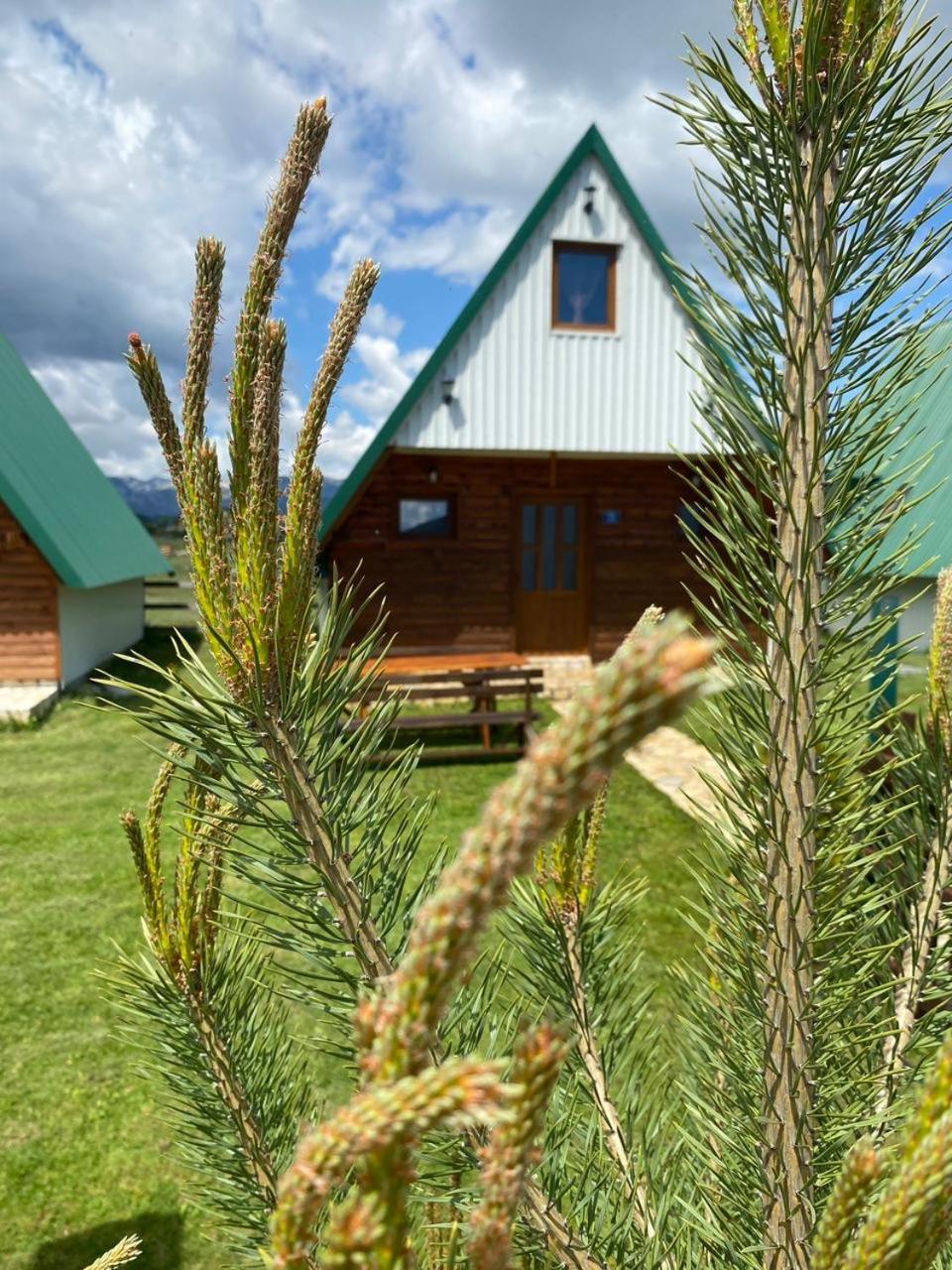 Willa Family House Eagle Eye Žabljak Zewnętrze zdjęcie